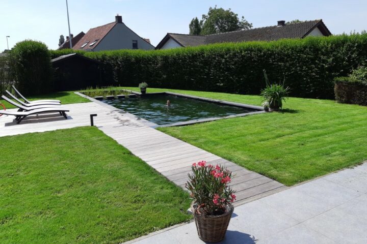 La piscine naturelle Wevelgem